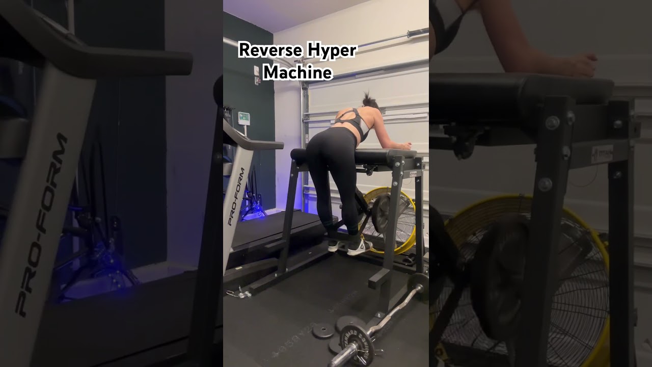 Reverse Hyper Machine. I got this for 150 on FB market place. Glutes. Home gym. Tesla