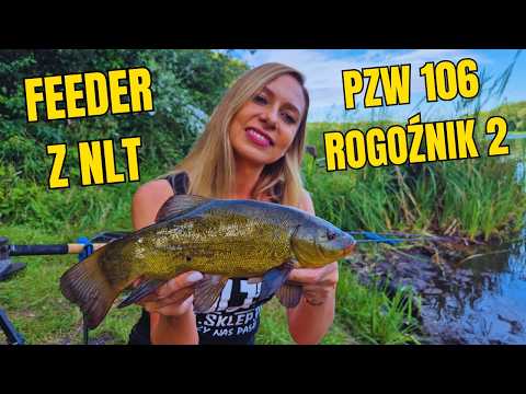 Feeder classics and method from NLT on PZW Rogoźnik 2