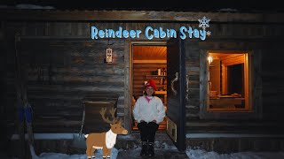 Staying at Kentura Reindeer Farm in Rovaniemi ｜ Off-grid winter cabin experience in Lapland