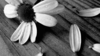 LOS SECRETOS (MARGARITA)