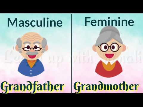 Learn Gender l Masculine and Feminine gender in English with pictures
