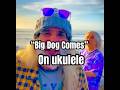 Big Dog Comes on Ukulele