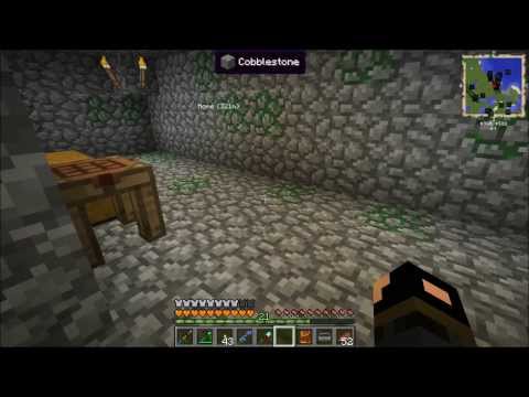 FTB Unleashed Episode 31: Bees and Tree Breeding.