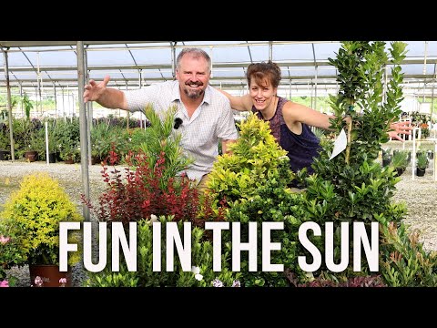 Garden Plant Combos for the Sun - Southern Living Plant Collection, Encore Azaleas, Butterfly Candy