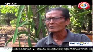 Download lagu Rupat Video Target Operasi Jangan Gadaikan Pulau Rupat 1 mp3 Download lagu Rupat Video Target Operasi Jangan Gadaikan Pulau Rupat 1 mp3