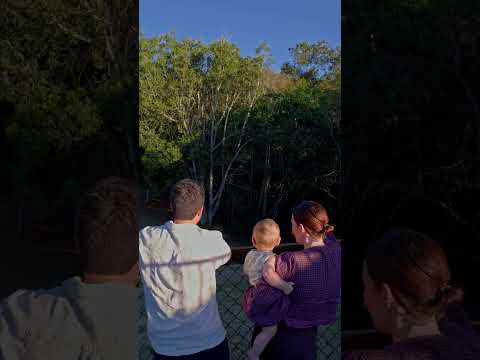 201 Glendale Road, Glendale, QLD 4711, 5 slaapkamers, 2 badkamers, House