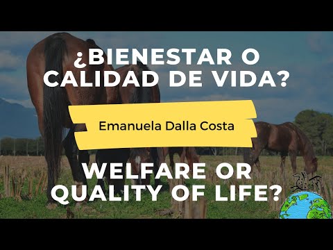 AWIN Equine Welfare Indicators by Emanuela Dalla Costa / Indicadores de Bienestar Equino