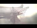 David Clavijo ~ Metamorphosis