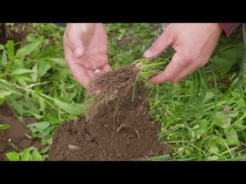 Unser Boden - Unser Leben: Informationsfilm für Landwirt:innen