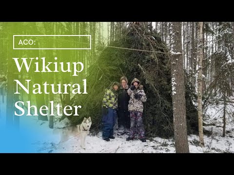 BEST BUSHCRAFT SHELTER WIKIUP BUILD, SILKY KATANABOY650