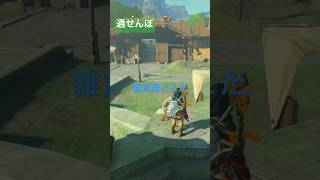 【 #ゼルダの伝説ティアーズオブザキングダム 】通せんぼ