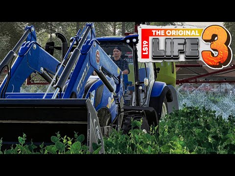 LS19 Life 3 #062 - Guido Regner hat alles im Griff! - M4cM4nus Farming Simulator