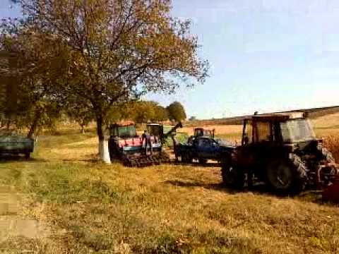 Undeva in judetul Cluj *(Tritenii de Jos)