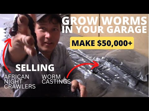 African Night Crawler Farm Makes $50k+ Raising Worms in a Garage