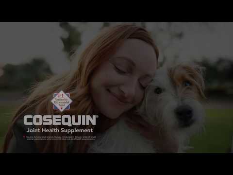 Nutramax Cosequin Maximum Strength Joint Health Supplement for Dogs - With Glucosamine, Chondroitin, MSM, and Hyaluronic Acid, 75 Chewable Tablets Video