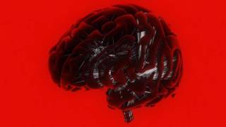 Kneebody & Daedelus - 'Loops' (Official Video)