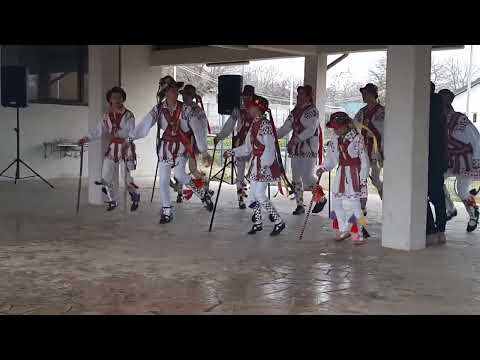 Călusarii din Brastavatu