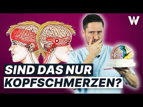 Migräne: Top 3 Warnanzeichen für eine Migräneattacke erkennen! Unterschied zu Kopfschmerzen