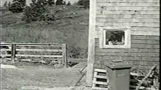 Superfriendz... Rescue us from Boredom