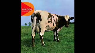 Alan&#39;s Psychedelic Breakfast - Pink Floyd - Remaster 2011 (05)