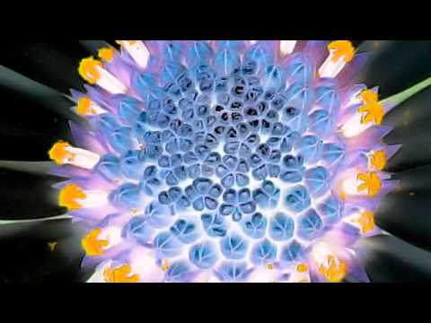 528Hz - Quiet Healing Love, Wellbeing, Earth Nature Frequency