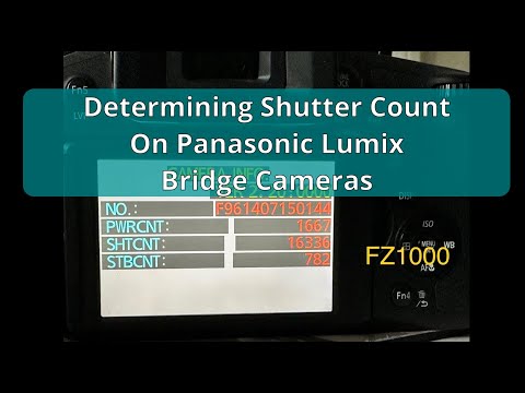 Determining Panasonic Lumix Bridge Camera Shutter Count