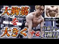 胸を大きくする最強腕立て伏せ!大胸筋がパンパンになる3分間の地獄のメニュー!!