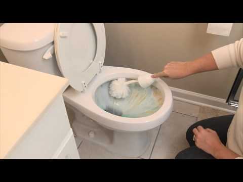 Fast Toilet and Tank