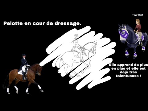 [Court-Métrage] : Pelotte en cour de dressage.