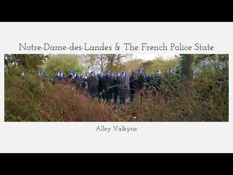 Alley Valkyrie: Notre-Dame-des-Landes & The French Police State