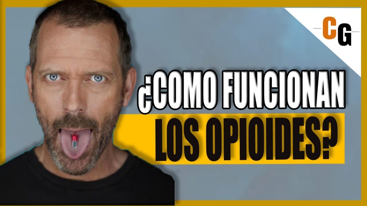 ¿Como funcionan los OPIOIDES - Morfina, Fentanilo, Heroina y Otro Opioides EXPLICADOS -