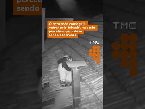 Plano deu errado: vigia sobe no telhado, puxa ladrão pelos pés e impede furto #shorts