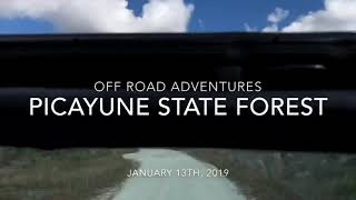 preview picture of video 'Picayune Strand State Forest'