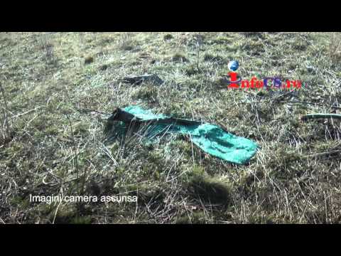 Tragedy in Moldova Nouă - The Danube Gorge mourns Boban