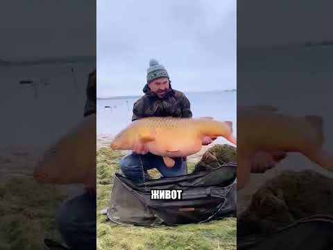 Глина в пещере ОКАЗАЛАСЬ ЧИСТЫМ ЗОЛОТОМ🔦🌕😱