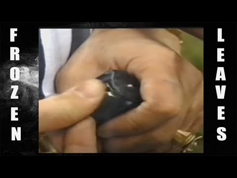 ✢JOEHDAH - EYES OF DEVTH✢