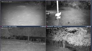 Thumbnail del capítulo