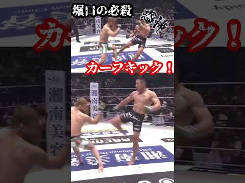 堀口恭司のカーフキックが相変わらずヤバすぎる…【堀口恭司 】