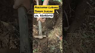 Download lagu Persiapan Lubang Tanam Durian Ukuran 50x50x40cm mp3