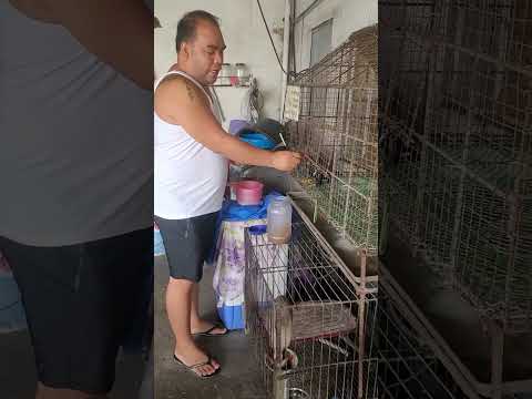 Feeding kay chi chi pawasay pero love namen.