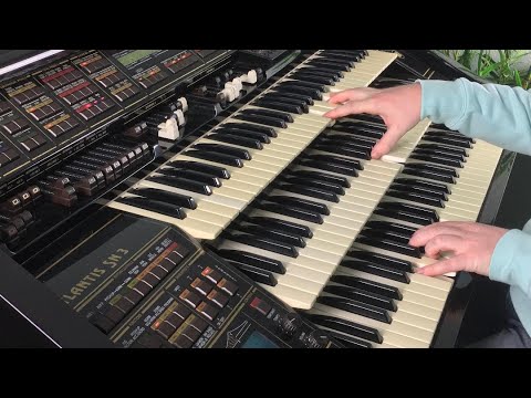 Dark Eyes (Les Yeux Noirs) - Swingin` Clarinet & Jazz Accordion / Florian Hutter - Wersi Atlantis