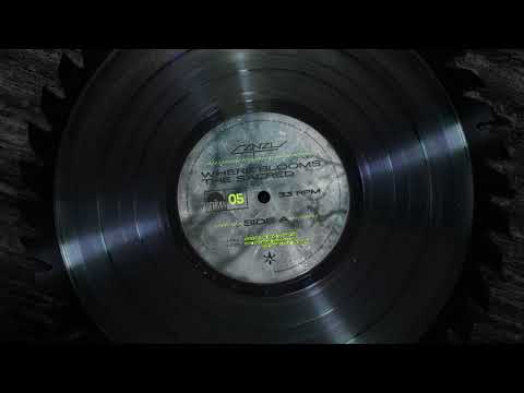 ZNZL - Dismantle & Observe [DEM005]