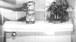 Sani-Flush
