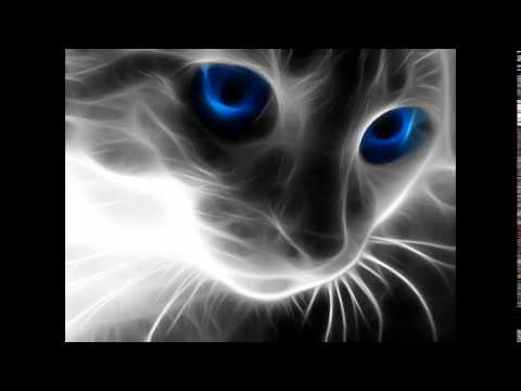 Fidel Wicked – love, peace, devotion