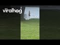Dog Barks At Lakeside Kangaroo || ViralHog