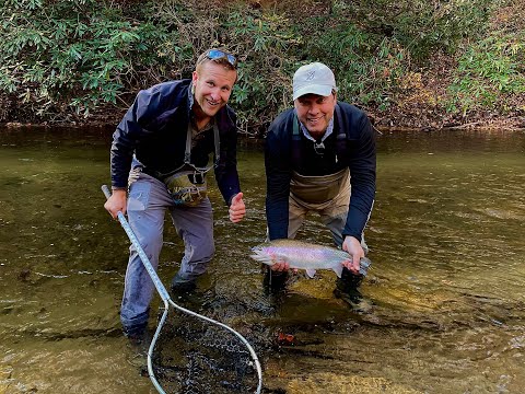 Fly Fishing for Trophy Trout: One Perfect Cast