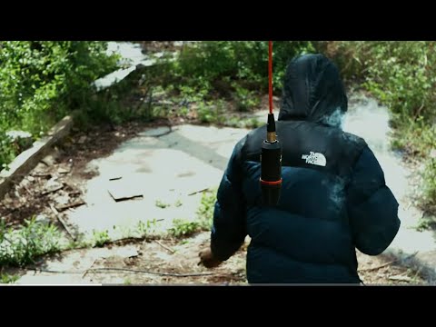 Choppawood Rose - Aight (Live Performance) | IN DA 6 Shot by @yungpromo3867