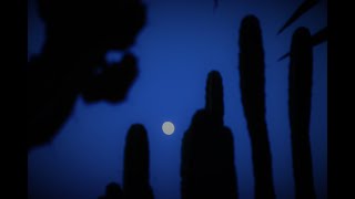 Colori e Musica Vincenzo Pagliara