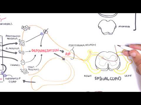 Pharmacology - Nonsteroidal Anti-Inflammatory Drugs (NSAIDs)