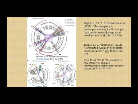 James Shapiro - What Can Evolutionary Biology Learn from Cancer Biology?